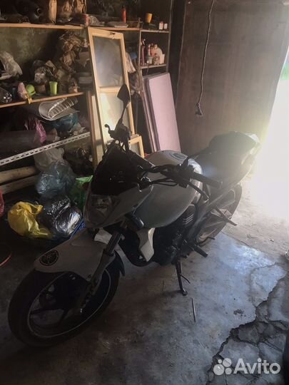 Racer rc250ck