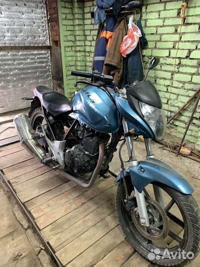 Stels flex 250