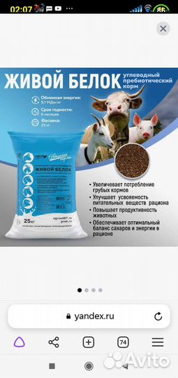 Живой белок