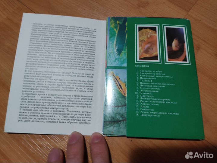 Пёстрый мир аквариума выпуск 7