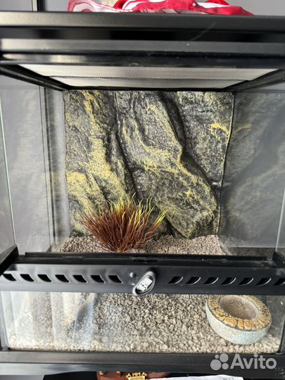 Террариум exo terra