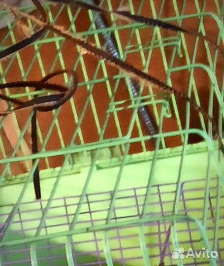 Большая клетка для мор. свинок, кролика, шиншиллы