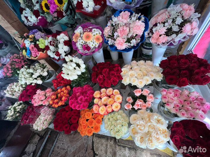 Гвоздики красные, розовые, кустовые