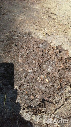 Натуральное удобрение- конский навоз