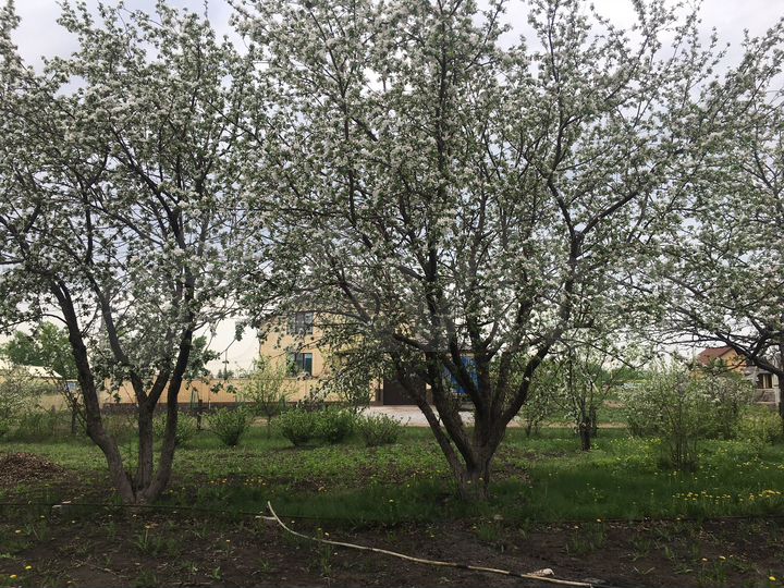 Участок 7,7 сот. (ИЖС)