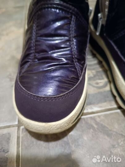 Сапоги зимние jog dog 33