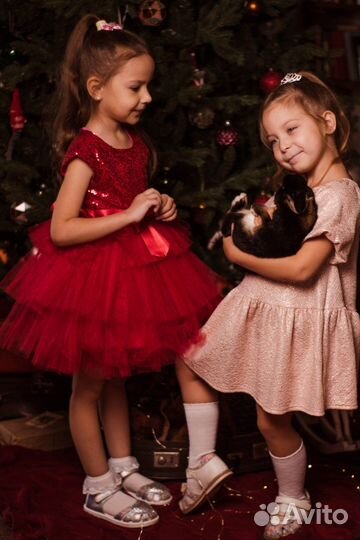 Аренда кроликов для фотосессии