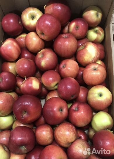 Яблоки оптом 1 сорт 2 сорт 3 сорт