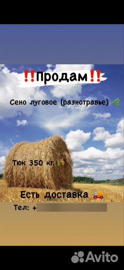 Продам сено в рулонах