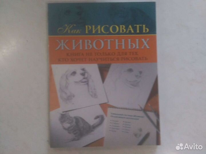 Рисунок карандашом. Как рисовать животных