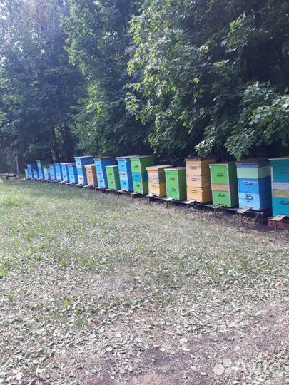 Мед натуральный