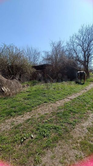 Дом 46 м² на участке 50 сот.