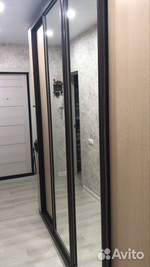 Шкаф купе с зеркалом в прихожую