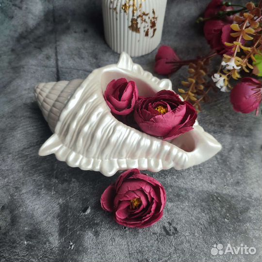 Ракушка декоративная