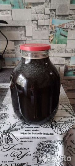 Мед гречишный 2023