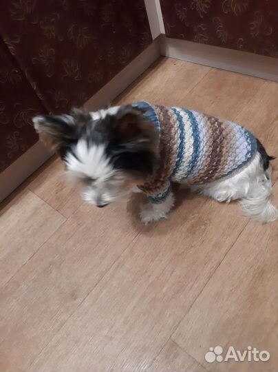 Свитер для собаки/кошки ручная работа