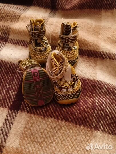 Обувь для маленьких собак