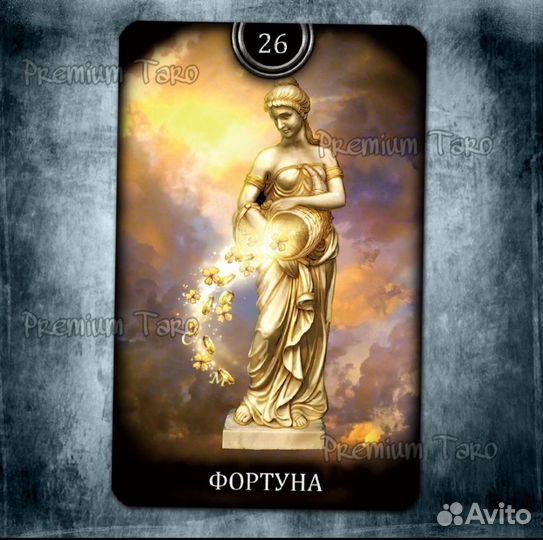 Киппер чиро марчетти