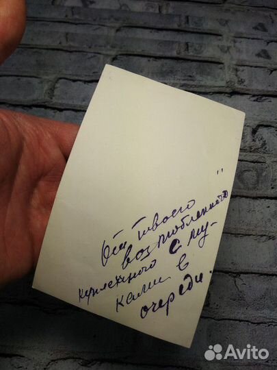 Фото Актера Владимира Дружникова