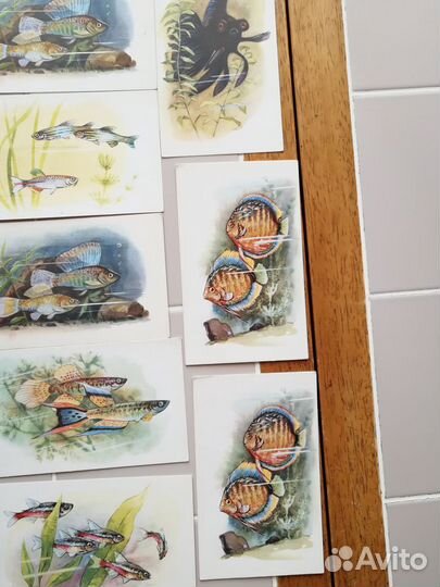 Открытки СССР 1968 Рыбки