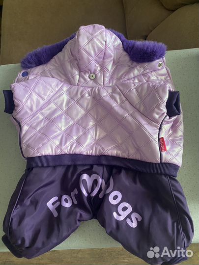 Зимний костюм для собаки