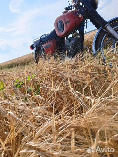 Иж планета спорт