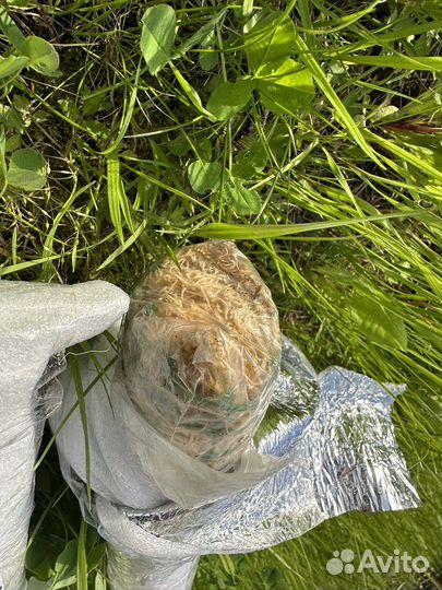 Опора для растений новые