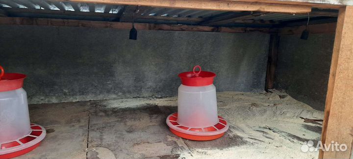 Клетка для птиц