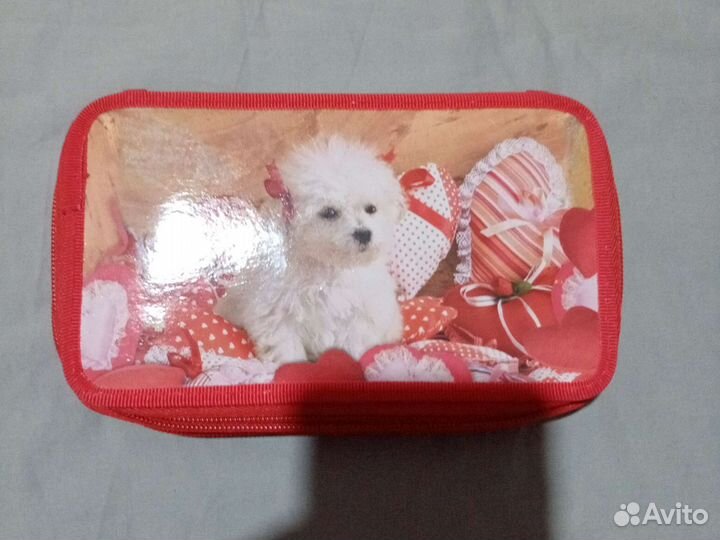 Пенал школьный