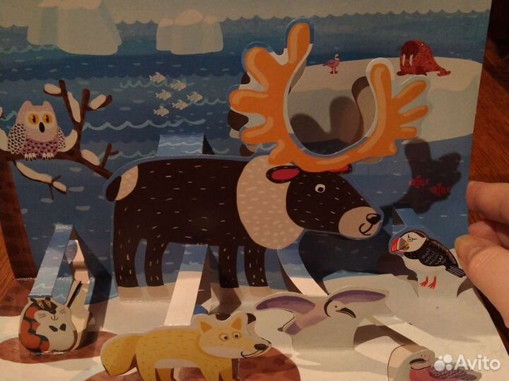 Книги детские большие