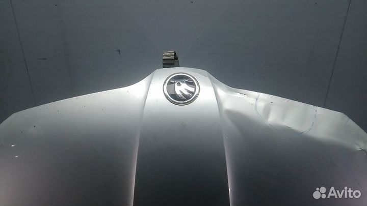 Капот Skoda Fabia