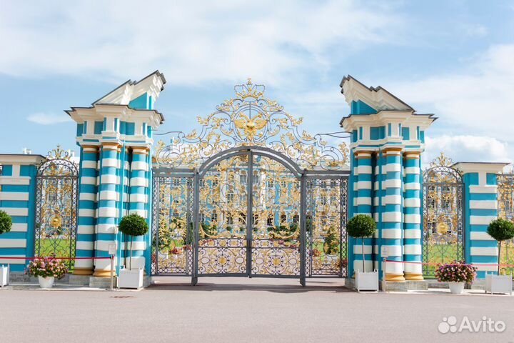 Тур в Петербург. Летний Петербург из Челябинска