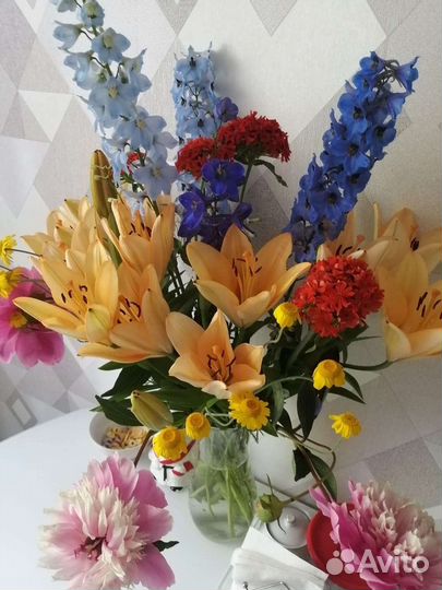 Лилия луковицы