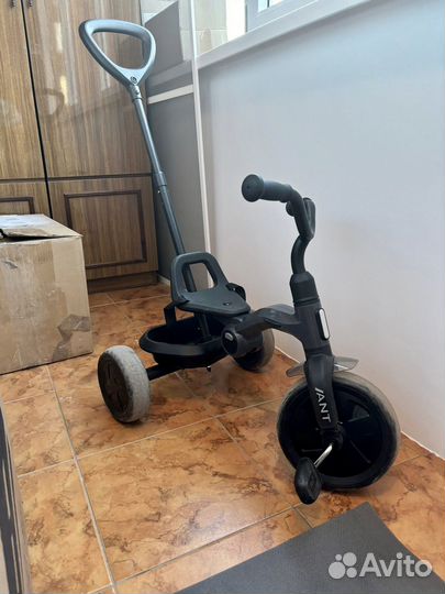 Детский трехколесный велосипед qplay ant