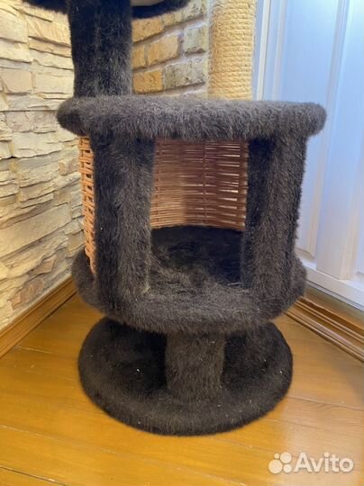 Когтеточка