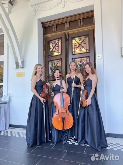 Скрипка трио квартет электроскрипка музыка