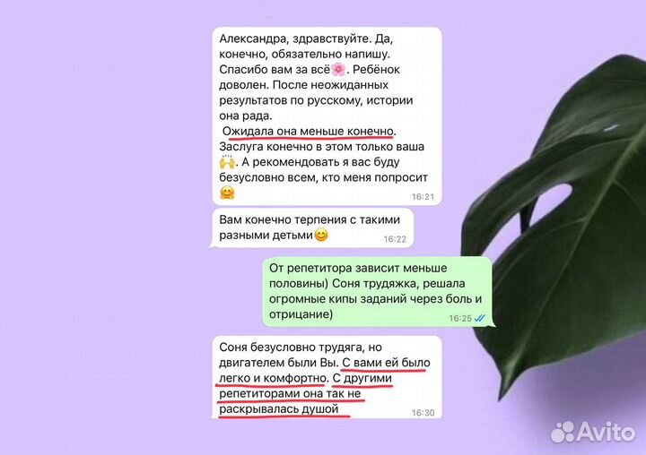 Репетитор по истории и обществознанию ЕГЭ, ОГЭ