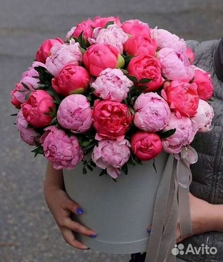 Пионы Букет пионов