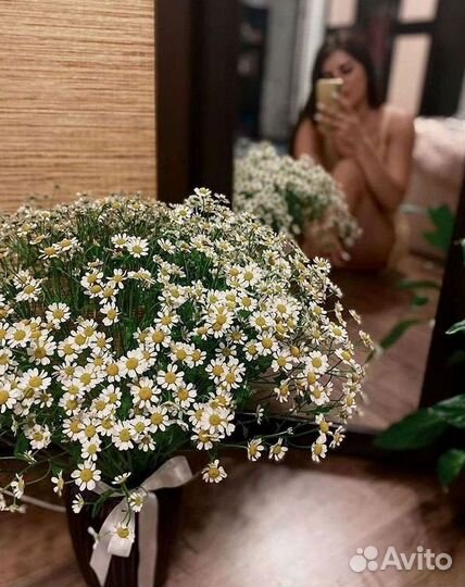 Ромашки Букет из ромашек доставка