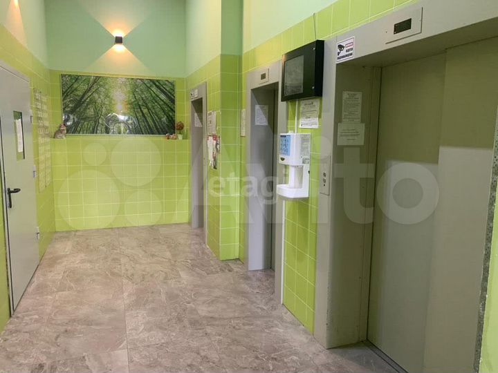 1-к. квартира, 43,7 м², 4/24 эт.