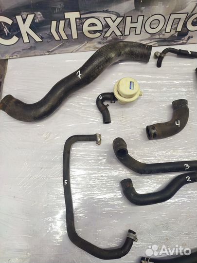 Шланги Nissan Primera P10