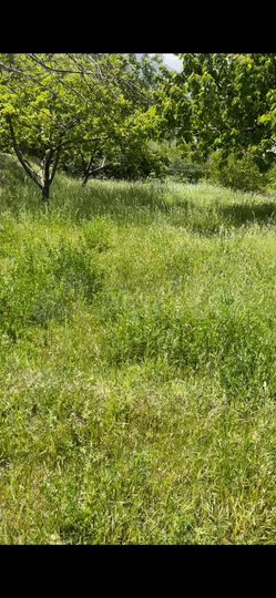 Участок 100 га (ИЖС)