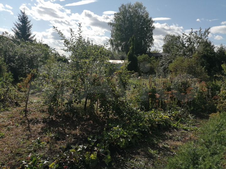 Участок 11,5 сот. (СНТ, ДНП)