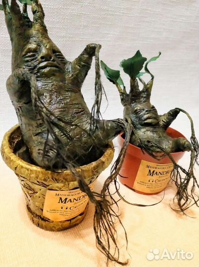 Сувенир-обрег Мандрагора