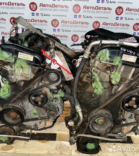 Двигатель Ford Focus 2 C-307 aoda