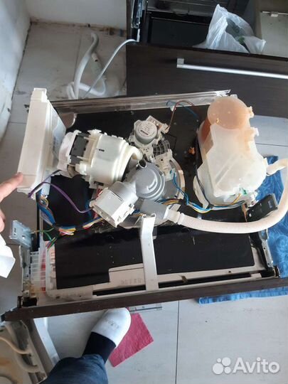 Ремонт стиральных машин ремонт посудомоечных машин