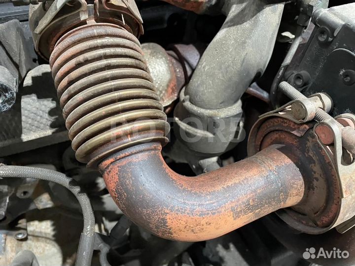 Гофра EGR DAF XF 106 2015 1860417