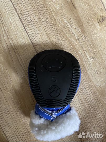 Ботинки для маленьких собак