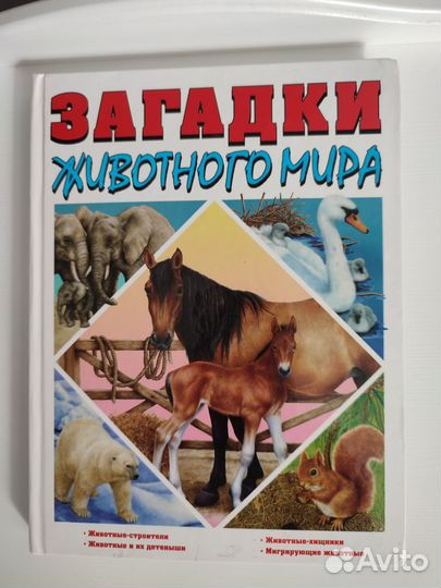 Энциклопедия