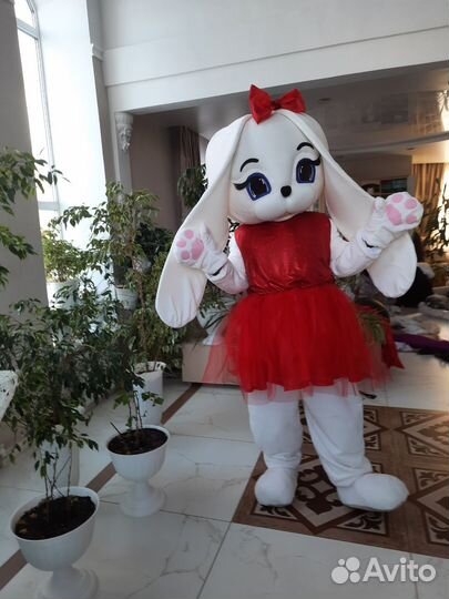 Заяц и Кот - костюм ростовой куклы 2 в одном